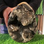 15 2lb Natural Septarian Dragon Cathedral Crystal Geode Mineral Specimen Healing