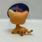 Shorthair Cat  1643 - Authentic Littlest Pet Shop - Hasbro Lps