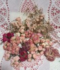 Vintage Silk Shabby Chic Roses Faux Dried Millinery Victorian Flowers Crafts