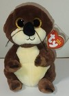 Ty Beanie Baby Bellies Mitch The River Otter 6  New Mwmts Plush Stuffed Toy