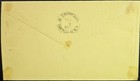 New York Fancy Negative 5 Serifed Cancel Buffalo Horn Ivory Shell Cc 1873 Tp