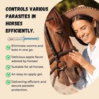 10 Pack Apple Flavor Horse Dewormer Paste Boxed Wormer Exp 01 2028