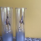 Disneyland Paris Castle Collectable Two Plastic Champagne Flutes Disney