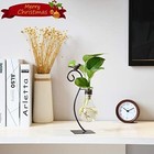 Marbrasse Desktop Glass Planter Hydroponics Vase     Modern Bird Plant Terrarium