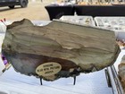 High Grade- Blue Mountain Picture Jasper