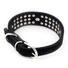 Pet Dog Cat Faux Diamond Decor Necklace Adjustable Belt Buckle Collar Black Xs