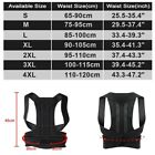 Posture Corrector Heavy Lifting Lumbar Back Waist Support Belt Brace For Work