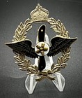 Badge Of Honor Of The Imperial German Aero And Model Flying Association