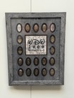 Disney World Millennium Resorts 2000 Official Framed Elongated Quarter Set Of 17