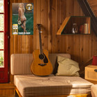 Vintage Style Alicia Silverstone Olympia Beer 16x24 Beer Poster Bar Pub Decor