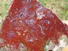 Tcr Red Lightning Moss And Plume Agate jasper lapidary Rough Slab 379 Grams