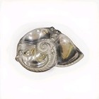 Arthur Court Nautilus Aluminum Tray Turtles Sea Life 1985