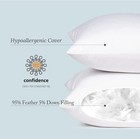 Euro Pillow Inserts 26 X 26 Down Feather Pack Of 2 White For Bed And Couch