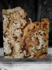 Xl Mind Blowing Birdseye Red Oak Burl Wood Blank Craft epoxy Wood  Spaghetti Oak