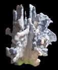 Natural Blue Ridge Coral Specimen Heliopora Coerulea Reef Display Rare Large