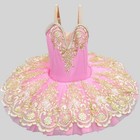 Professional Ballerina Ballet Tutu Girls Ballet Costumes Dance Costumes Dress