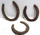 Lot Of Vintage   Antique Reclaimed Salvage  Horseshoes