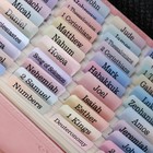 -laminated Bible Tabs  Bible Tabs For Women And Men  Reposition Large Print S   