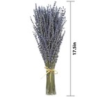 Dried Lavender 3 Bunches Fresh Natural Purple Flowers For Bathroom Photo Props