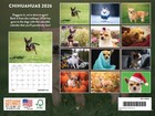 Chihuahua Calendar 2026 Monthly Wall Calender 12 Month 12x18
