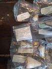 Conus Sea Shell Collector Specimen Collection Estate Lot Of 27