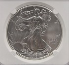 2019 Silver Eagle S 1 Ms 70 Ngc Brown Label
