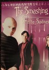 The Smashing Pumpkins Infinite Sadness Tour 96 Record Store 18x30 Promo Poster
