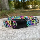 1 Inch Wide Breakaway Dog Collar For Large Dogs - Neon Leopard Print Made In Usa