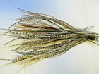 100 Asst Whiting Grizzly Rooster Saddle 6 To 9  Feathers For Hair Extensions