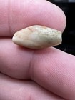 Ancient Roman asian 2000 Yo Worn Agate Eye Bead Matte Patina 19 2 X 10 8 X 9 2mm