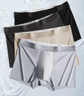 4pcs Men s Breathable Boxer Soft Silk Cotton Briefs Mens Summer Underwear S-2xl