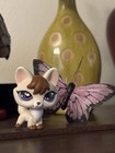 Ooak Littlest Pet Shop Lps Spring Fox Custom