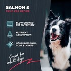 Grain Free Dry Dog Food  Salmon   Field Pea Recipe  4 5 Pound Bag For All Lif   