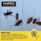 Harris Boric Acid Roach And Silverfish Killer Powder W lure For Insects  16oz  