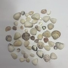 Mixed Lot Imperfect Sanibel Island Sea Shells Beach Ocean Decor Crafts 50 Pcs
