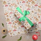 Woodland Animals Wrapping Paper For Kids - Holiday Gift Wrap With Squirrel  R   