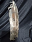 Native American Indian Antiques Collectables