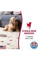 Nature   s Miracle Stain And Odor Remover Foam For Dogs 17 5 Oz  pack Of 2  
