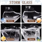 Storm Glass Weather Forecaster  Perfect Gifts For Women  Weather Predictor Ba   