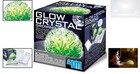 Glow Crystal Growing Kit For Kids Stem Science Experiment Glow-in-the-dark Toy