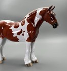 2021 Dah Peter Stone Bunny - Chestnut Dappled Tobiano With Live Show Ribbon