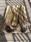 Wild Sd Pheasant Tail Feathers  12 Tail Clumps 