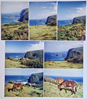 Pololu Lookout With Mules-vintage Hawaii Island-2002 Photos 5  X 7 -lot Of 7
