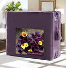 Luxury Solid Duvet Cover Set 3 Piece     Premium Hotel Quality Microfiber Bedding 