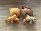 Lps Blond Collie  58 Short Hair Cat  339 Girl Kids Cute Gift Lps Collect Toys