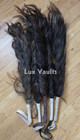 African Horse Tail
