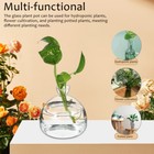  Glass Flower Vase Clear Glass Vase Glass Plant Pot Round Glass Vase Plants