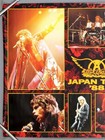 Aerosmith     Rare Original 1988 Warner-pioneer Promo Poster Permanent Vacation