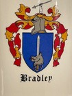 Vtg Ceramic Beer Stein mug Bradley Family Crest Cup