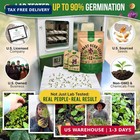 12 Culinary Herbs Seeds Variety Pack - 7 355  Heirloom  Non-gmo  Herbs Seeds For